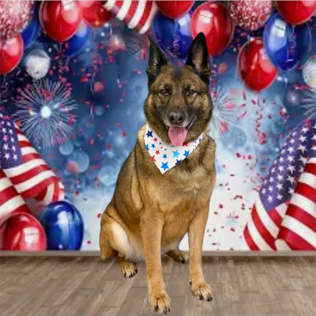 Maycee, the office greeter dog at Lipof and Nichols, in a festive bandana